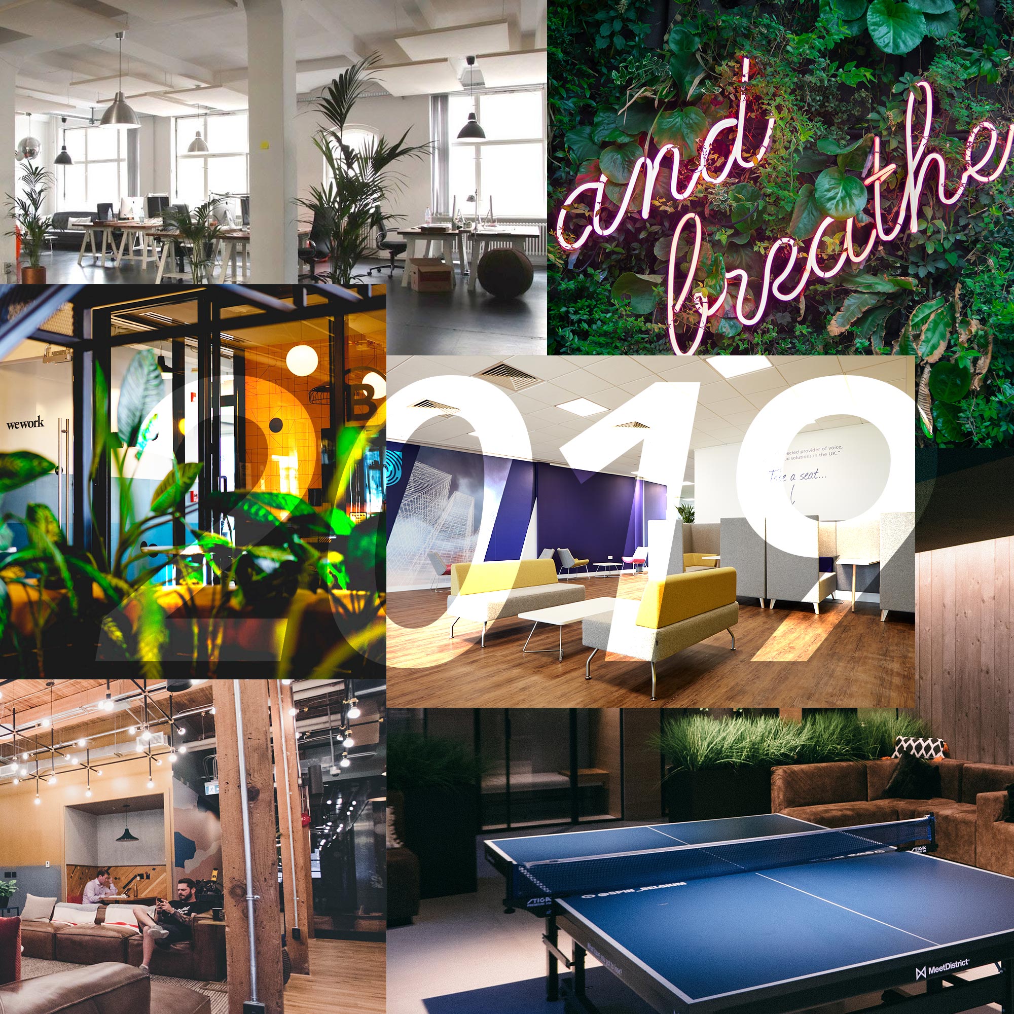2019 Office Design Trends