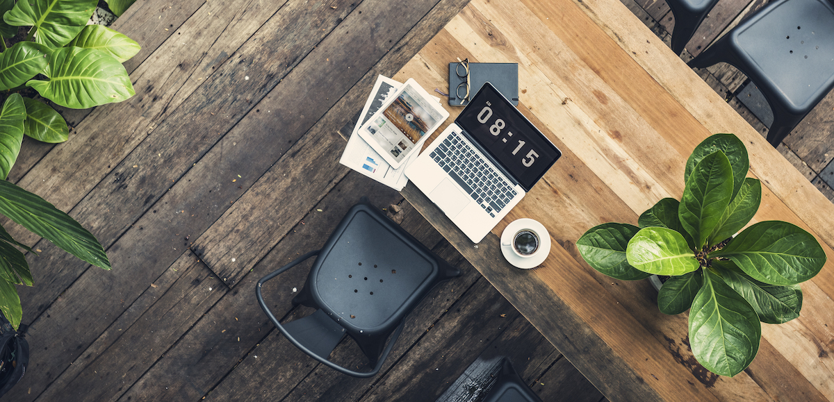 Benefits of Having Plants in Your Office