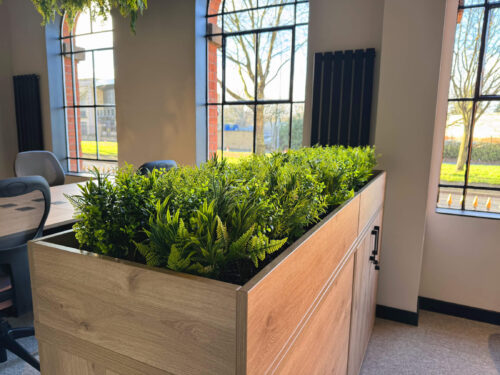 living plants within an office space